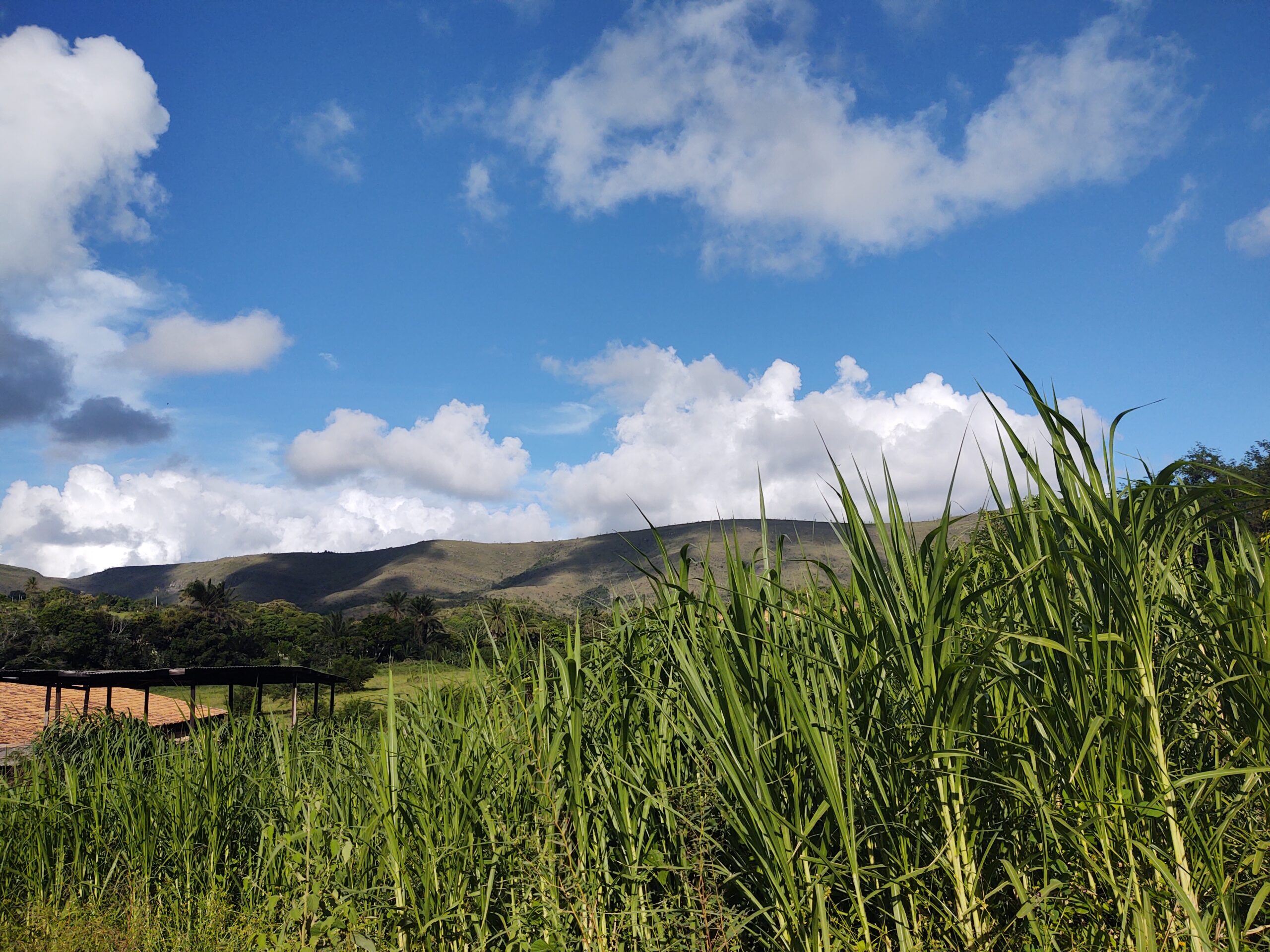 No momento, você está visualizando Junho Ambiental: MPF recomenda que órgãos ambientais não apliquem nova lei de licenciamento em Sergipe até manifestação do STF