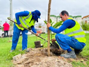 Leia mais sobre o artigo Aracaju realiza plantio de mais de 80 mudas arbóreas no bairro Jabotiana