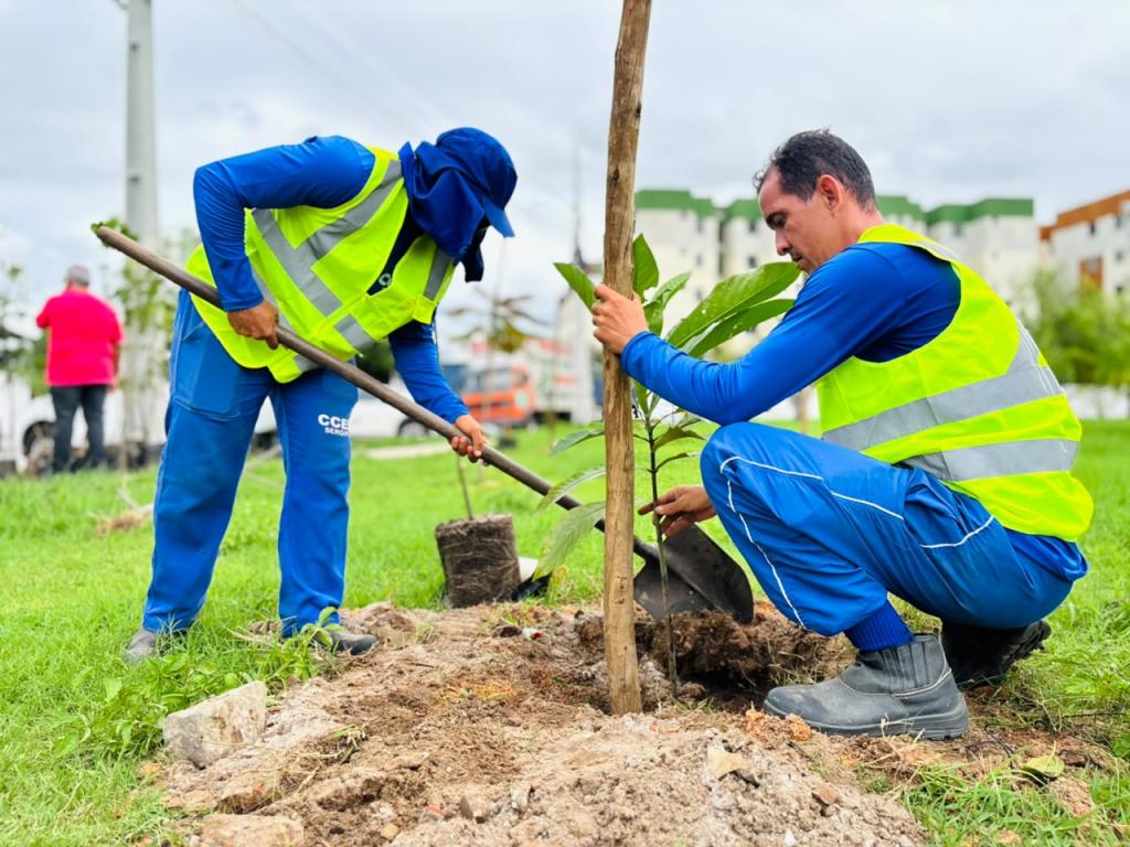 No momento, você está visualizando Aracaju realiza plantio de mais de 80 mudas arbóreas no bairro Jabotiana