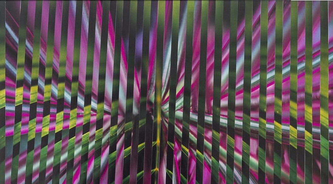 No momento, você está visualizando “Sob o efeito do sol’, mostra de artista visual sergipano abre exposição no Corredor Cultural da Secult